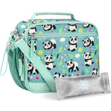 Panda Teal Lunch Box